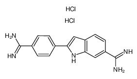 DAPI