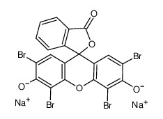 Field's Stain B