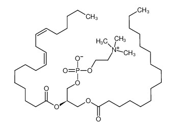 Soya lecithin powder