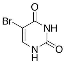 5-Bromouracil, 98%