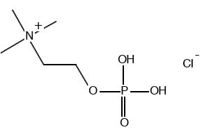 Phosphoryl choline ,99%