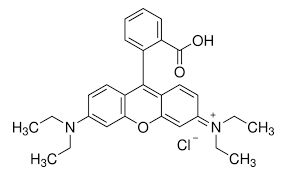 Rhodamine B